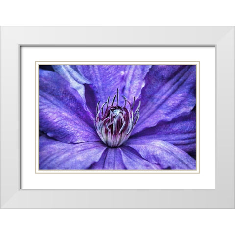 Intimate Unfolding White Modern Wood Framed Art Print with Double Matting by Robertson, Leda