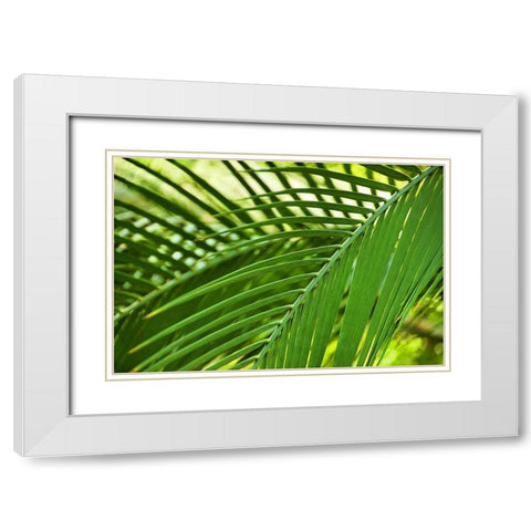 Leaf Abstraction II White Modern Wood Framed Art Print with Double Matting by Robertson, Leda