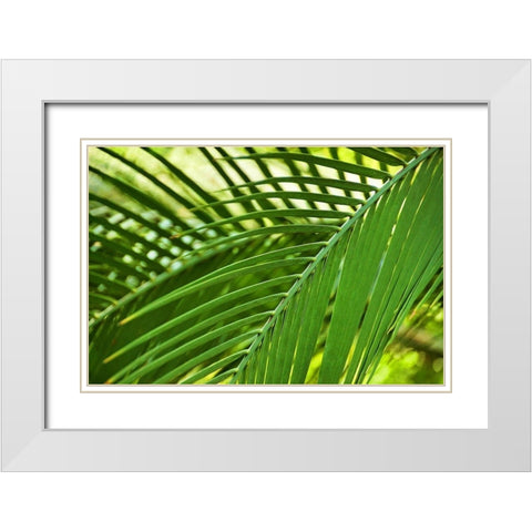 Leaf Abstraction II White Modern Wood Framed Art Print with Double Matting by Robertson, Leda