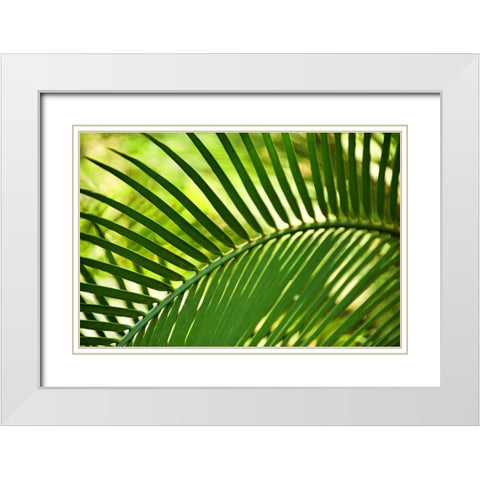 Leaf Abstraction IV White Modern Wood Framed Art Print with Double Matting by Robertson, Leda
