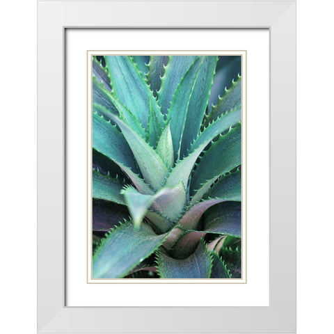 Spiny Succulent II White Modern Wood Framed Art Print with Double Matting by Robertson, Leda