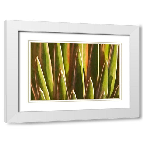 Desert Growth White Modern Wood Framed Art Print with Double Matting by Robertson, Leda