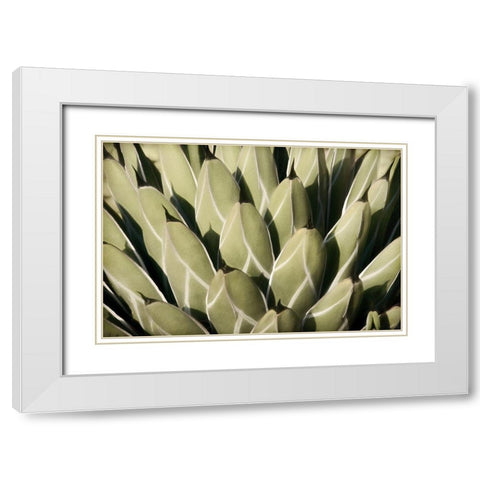 Geometric Growth White Modern Wood Framed Art Print with Double Matting by Robertson, Leda