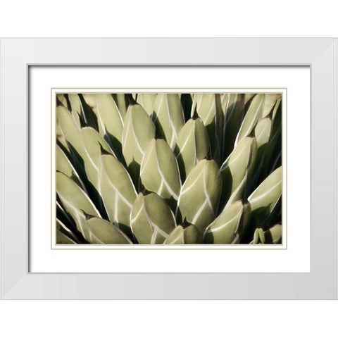 Geometric Growth White Modern Wood Framed Art Print with Double Matting by Robertson, Leda