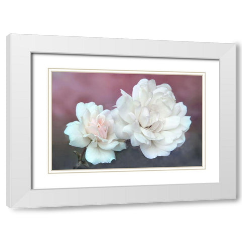 Wild About Roses White Modern Wood Framed Art Print with Double Matting by Robertson, Leda