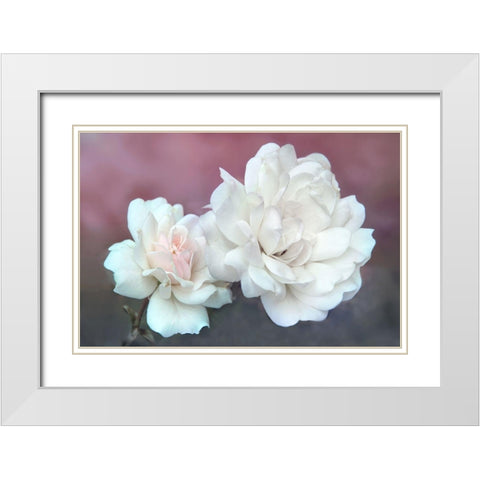 Wild About Roses White Modern Wood Framed Art Print with Double Matting by Robertson, Leda