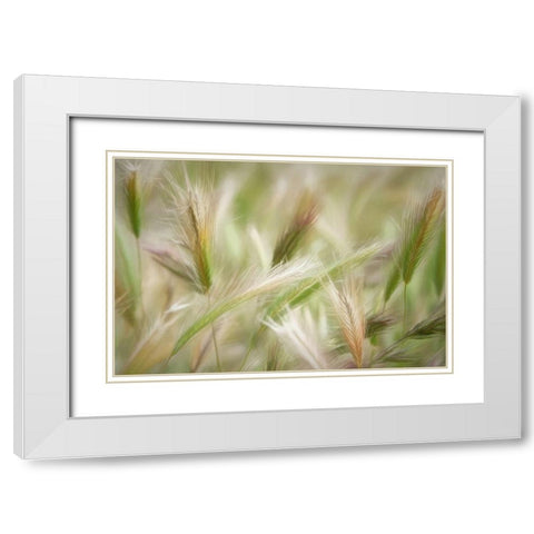 Spring Delight White Modern Wood Framed Art Print with Double Matting by Robertson, Leda