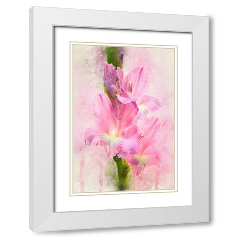 Flowering Trifecta White Modern Wood Framed Art Print with Double Matting by Robertson, Leda