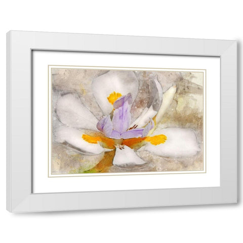 Blooming into Abstraction White Modern Wood Framed Art Print with Double Matting by Robertson, Leda