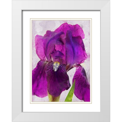 Natures Disarray White Modern Wood Framed Art Print with Double Matting by Robertson, Leda