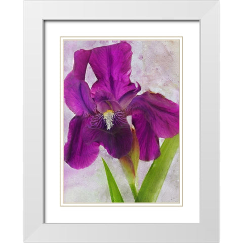 Easy Beauty White Modern Wood Framed Art Print with Double Matting by Robertson, Leda