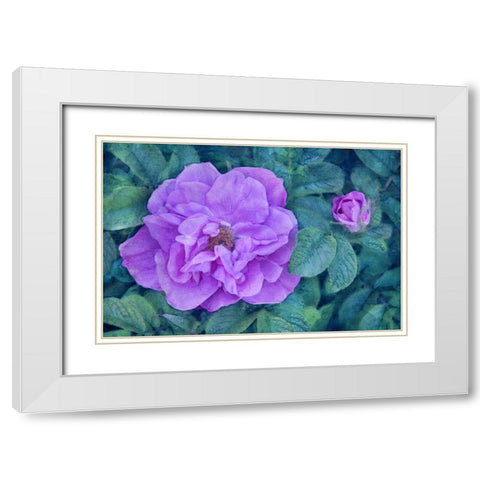 Moment of Beauty White Modern Wood Framed Art Print with Double Matting by Robertson, Leda