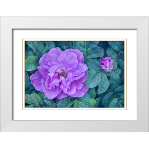 Moment of Beauty White Modern Wood Framed Art Print with Double Matting by Robertson, Leda