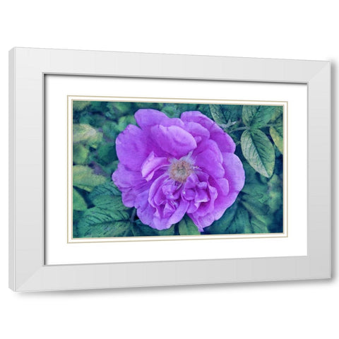 A Touch of Heaven White Modern Wood Framed Art Print with Double Matting by Robertson, Leda