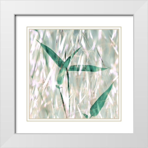 Flourish X White Modern Wood Framed Art Print with Double Matting by Aryai, Sia