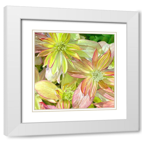 Come Fly With Me White Modern Wood Framed Art Print with Double Matting by Montana, Enzo