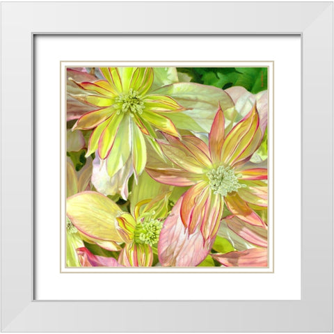 Come Fly With Me White Modern Wood Framed Art Print with Double Matting by Montana, Enzo