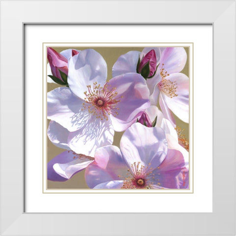 Fascination White Modern Wood Framed Art Print with Double Matting by Montana, Enzo