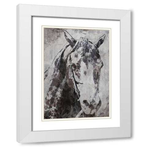 Morgan Horse- Black Beauty White Modern Wood Framed Art Print with Double Matting by Orlov, Irena