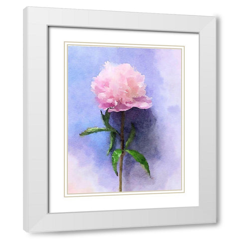 Pink Watercolor Peony II White Modern Wood Framed Art Print with Double Matting by Orlov, Irena
