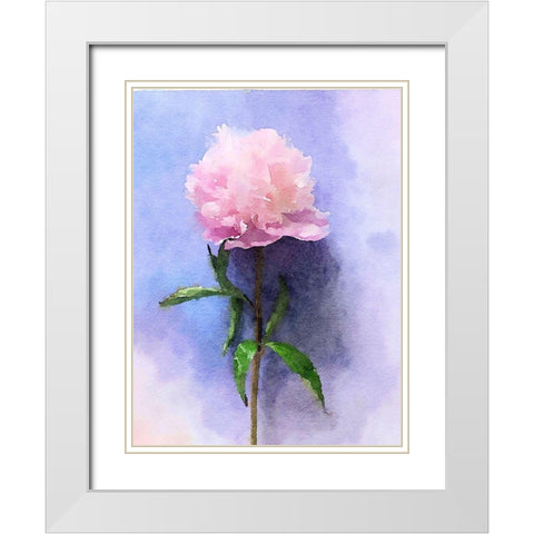 Pink Watercolor Peony II White Modern Wood Framed Art Print with Double Matting by Orlov, Irena