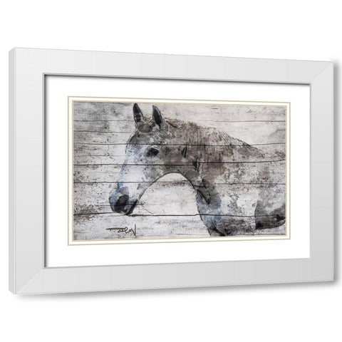 Gray Horse White Modern Wood Framed Art Print with Double Matting by Orlov, Irena