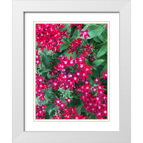 Fiery Red White Modern Wood Framed Art Print with Double Matting by Orlov, Irena