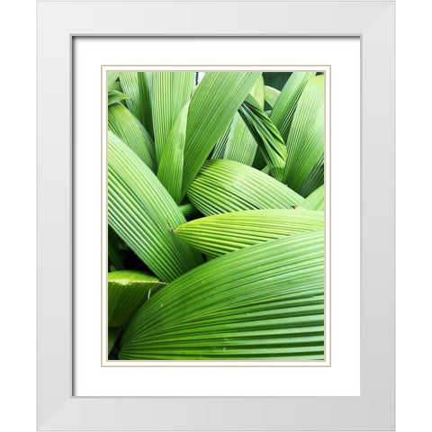 Monster Leaves I White Modern Wood Framed Art Print with Double Matting by Orlov, Irena