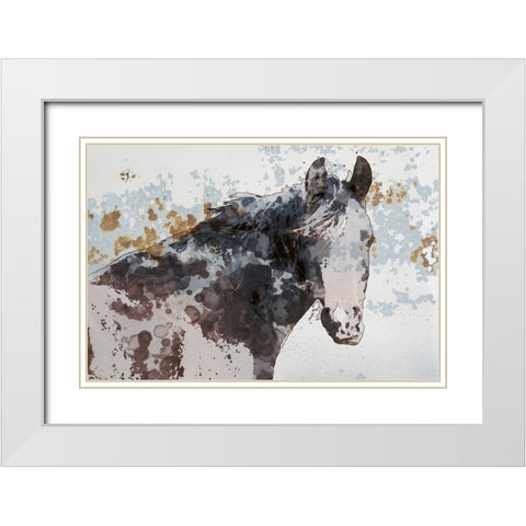 American Paint Horse White Modern Wood Framed Art Print with Double Matting by Orlov, Irena