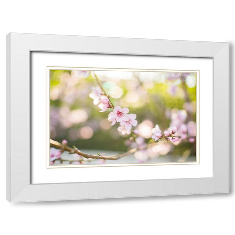 The Bloom of Peach Trees White Modern Wood Framed Art Print with Double Matting by Orlov, Irena