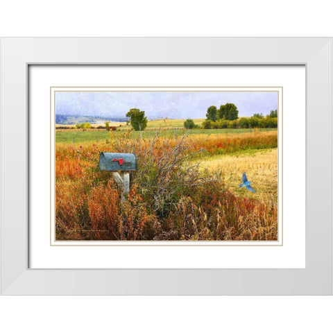 Ranch Mailbox White Modern Wood Framed Art Print with Double Matting by Vest, Christopher