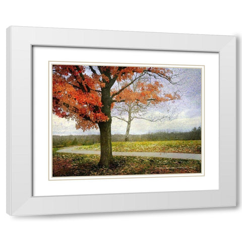 Overland Park Trees White Modern Wood Framed Art Print with Double Matting by Vest, Christopher