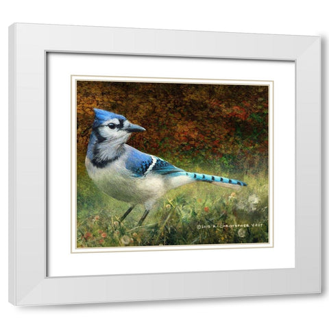 Bluejay Yard White Modern Wood Framed Art Print with Double Matting by Vest, Christopher