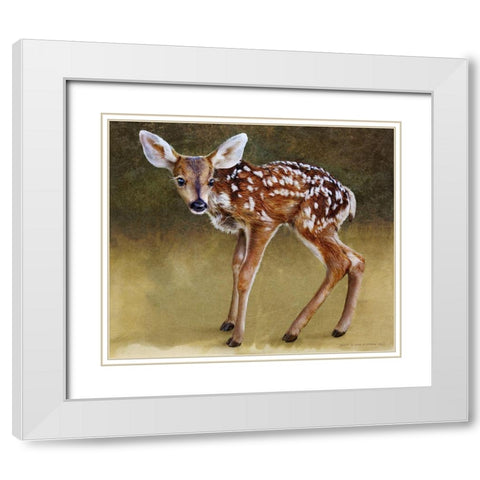 Baby Deer Standing White Modern Wood Framed Art Print with Double Matting by Vest, Christopher
