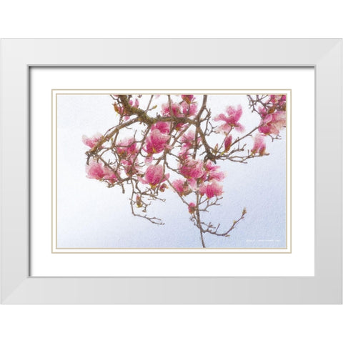 Painted Magnolia White Modern Wood Framed Art Print with Double Matting by Vest, Christopher