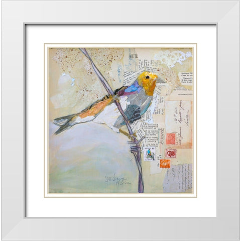 Finch on White White Modern Wood Framed Art Print with Double Matting by St Hilaire, Elizabeth