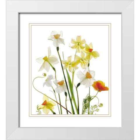 Spring Garden White Modern Wood Framed Art Print with Double Matting by Stalus, Judy