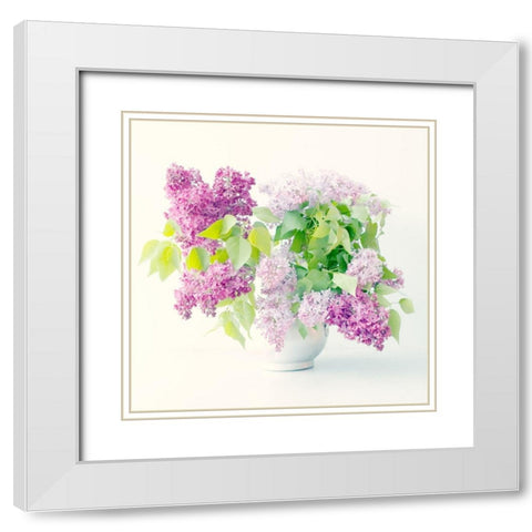 Lilac Bouquet White Modern Wood Framed Art Print with Double Matting by Stalus, Judy