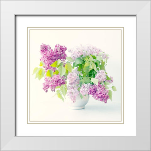 Lilac Bouquet White Modern Wood Framed Art Print with Double Matting by Stalus, Judy