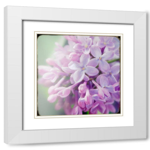 Innocence White Modern Wood Framed Art Print with Double Matting by Stalus, Judy