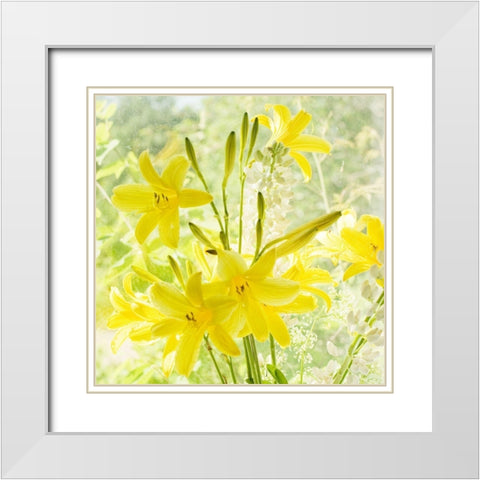 Lemon Lilies  White Modern Wood Framed Art Print with Double Matting by Stalus, Judy