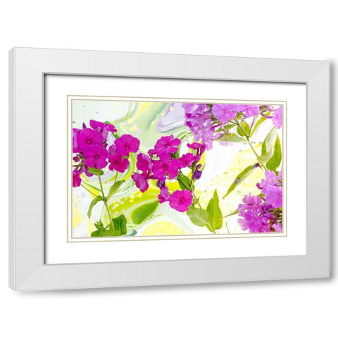 Magenta Phlox II White Modern Wood Framed Art Print with Double Matting by Stalus, Judy