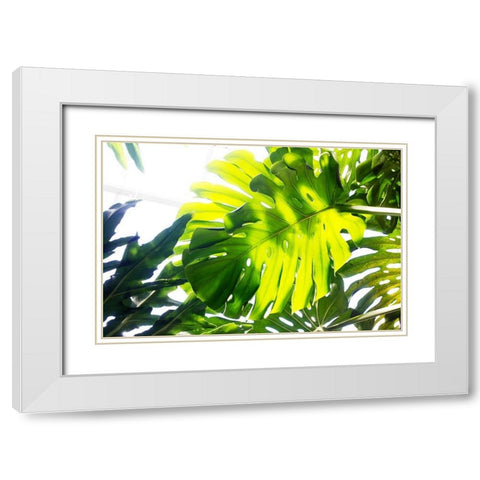 Tropics White Modern Wood Framed Art Print with Double Matting by Stalus, Judy