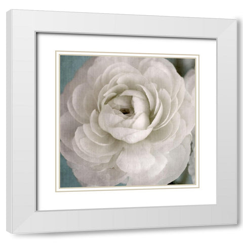 White Beauty White Modern Wood Framed Art Print with Double Matting by Stalus, Judy