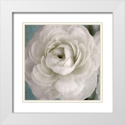 White Beauty White Modern Wood Framed Art Print with Double Matting by Stalus, Judy