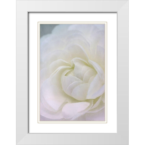 Whisper White Modern Wood Framed Art Print with Double Matting by Stalus, Judy