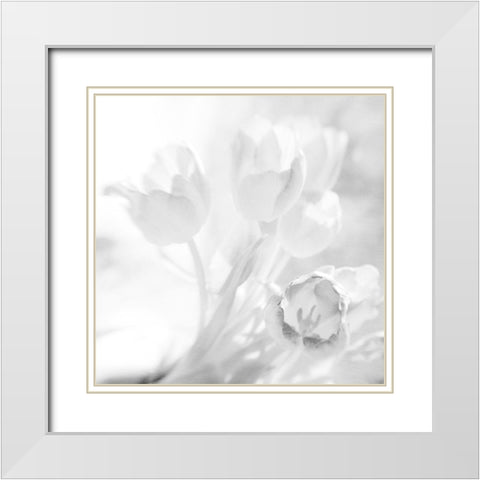 WhiteTulips White Modern Wood Framed Art Print with Double Matting by Stalus, Judy