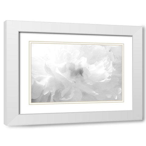 Clouds White Modern Wood Framed Art Print with Double Matting by Stalus, Judy