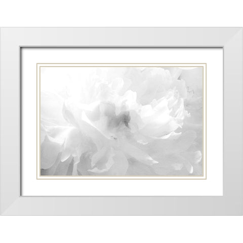 Clouds White Modern Wood Framed Art Print with Double Matting by Stalus, Judy