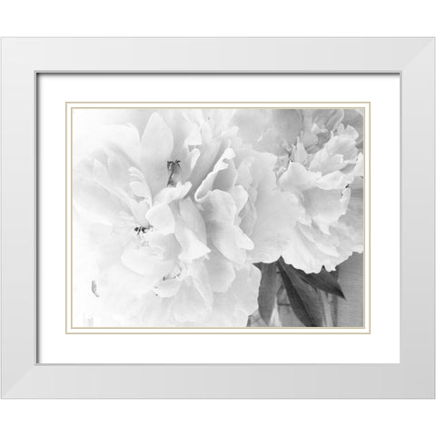Peonies in White II White Modern Wood Framed Art Print with Double Matting by Stalus, Judy